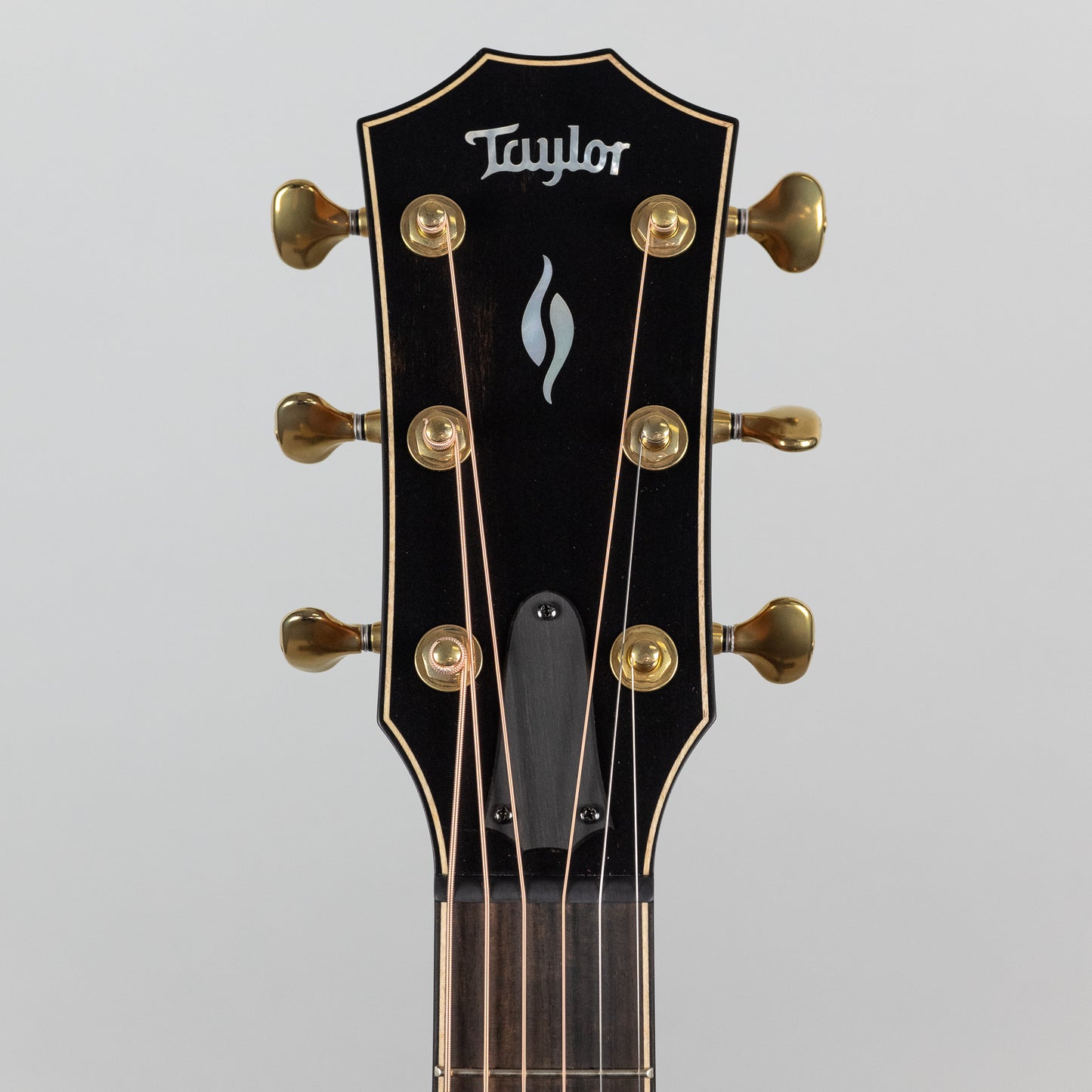 Taylor Builder's Edition 816ce V-Class Bracing (1203112068)