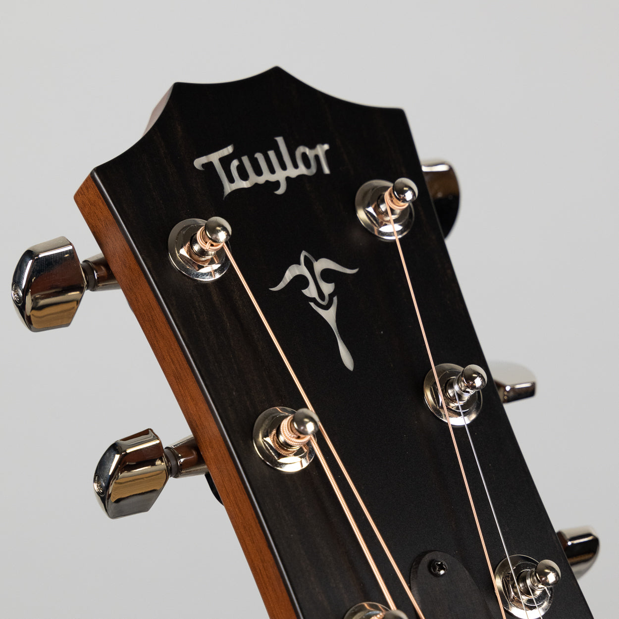 Taylor 512ce Urban Ironbark, V-Class Bracing (1210182108)