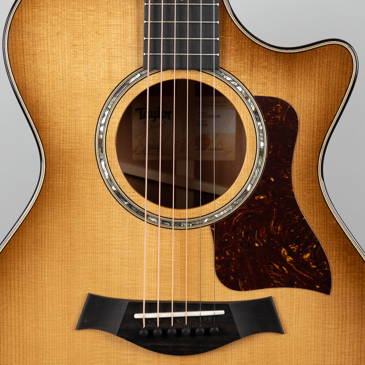 Taylor 512ce Urban Ironbark, V-Class Bracing (1210182108)