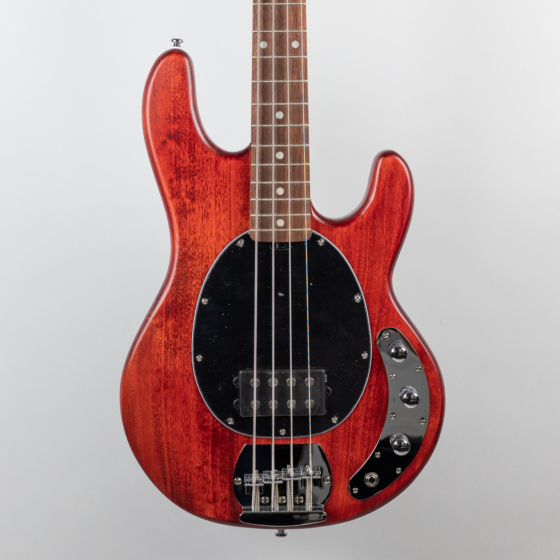 Sterling StingRay Ray4 Bass in Walnut Satin – Carlton Music Center