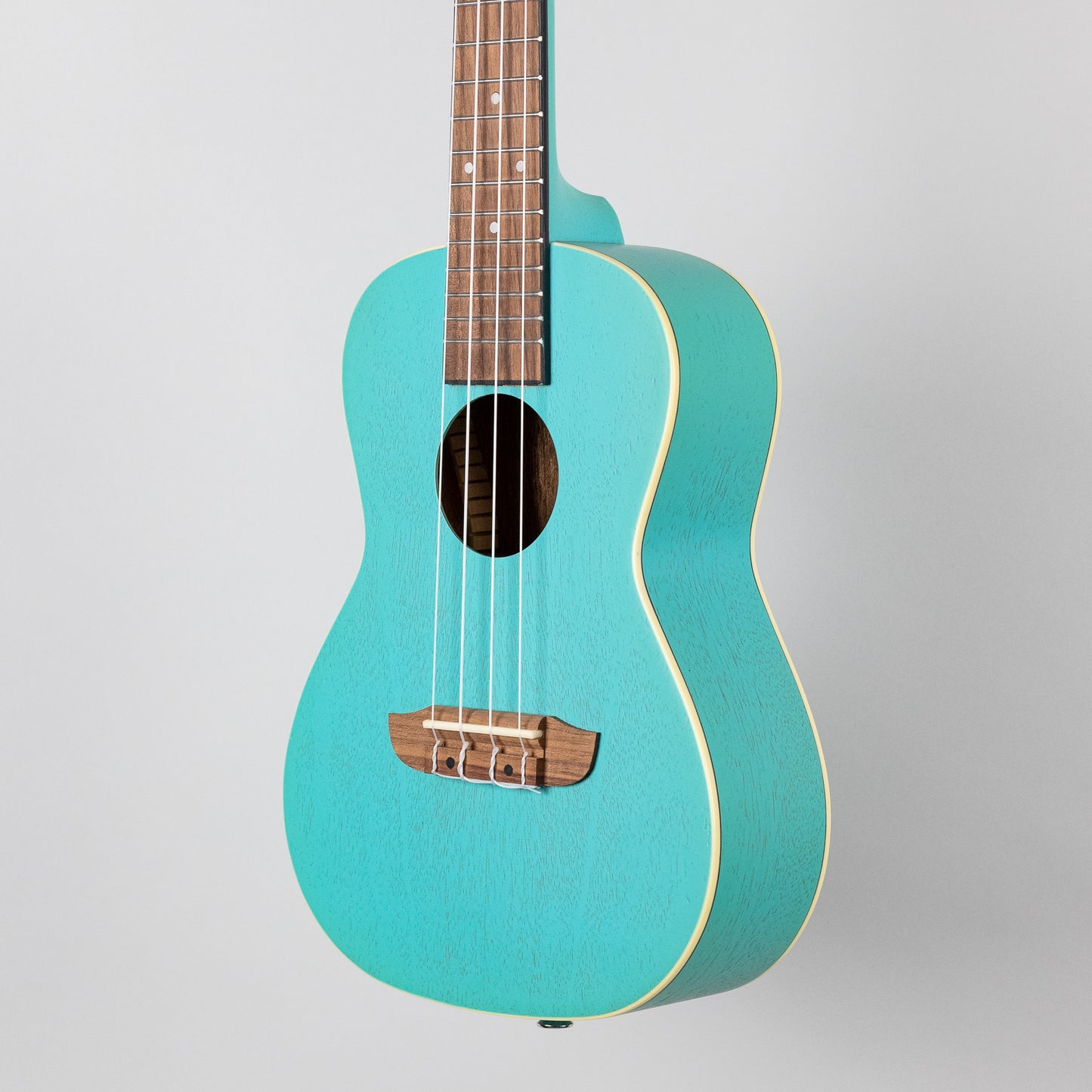 Ortega Earth Series Concert Ukulele in Lagoon Turquoise