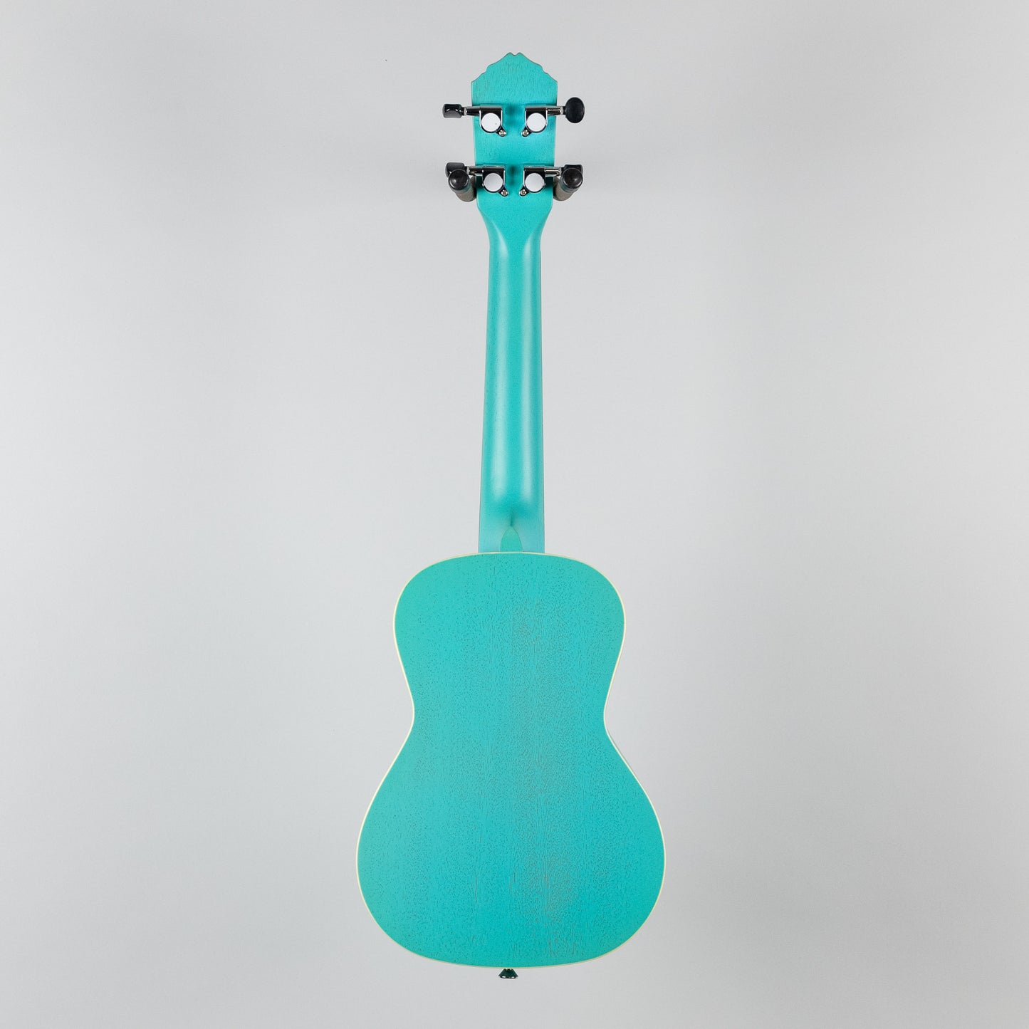 Ortega Earth Series Concert Ukulele in Lagoon Turquoise