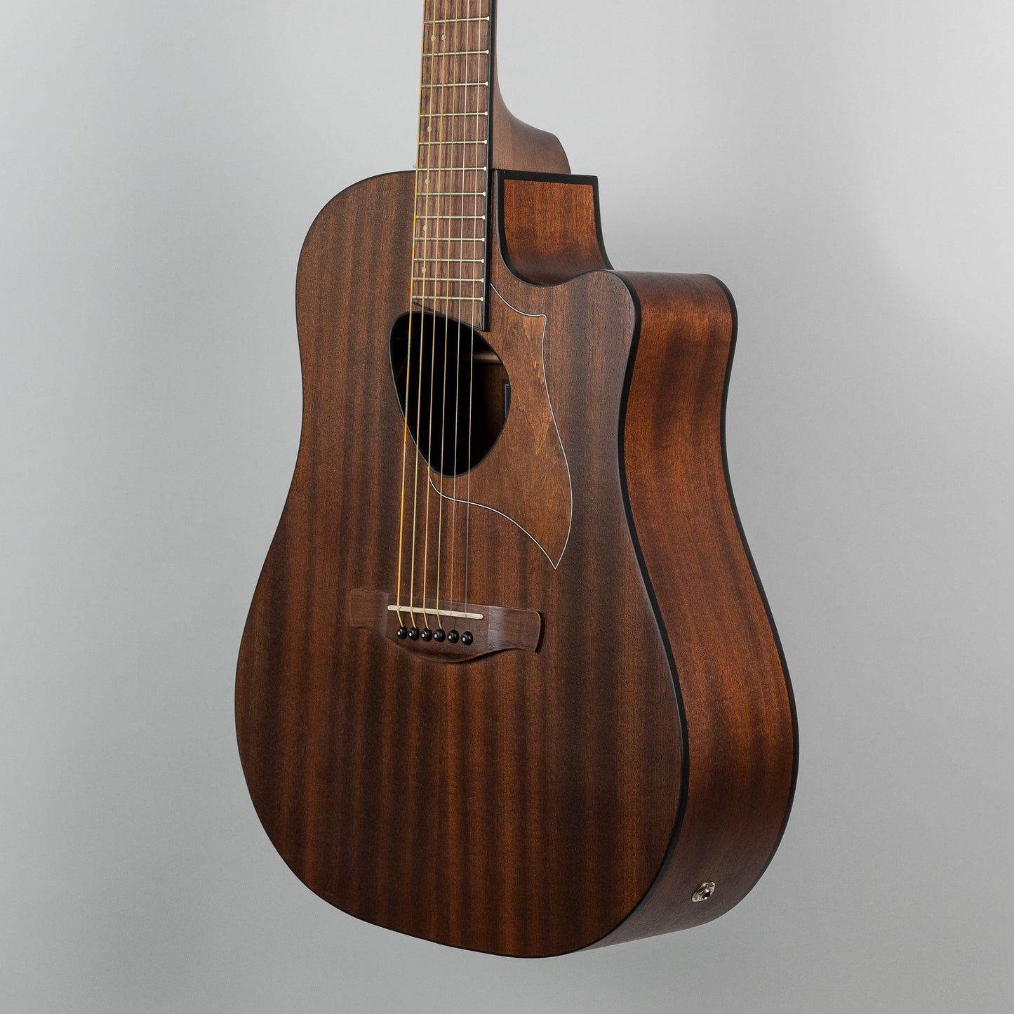 Ibanez ALT20-OPN Altstar Acoustic/Electric Guitar in Open Pore Natural
