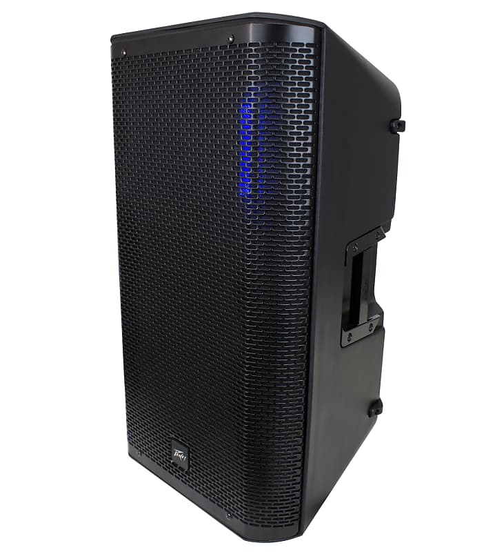 Peavey RBN 1500-Watt 12 inch Powered Speaker