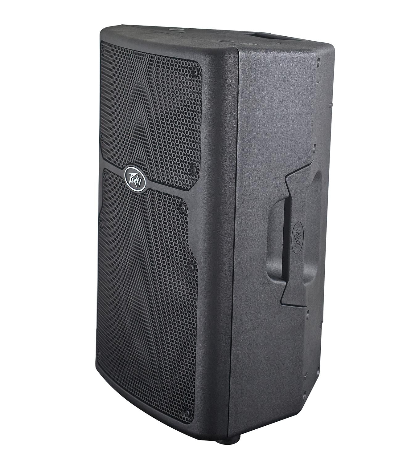Peavey PVX 10 Non Powered PA Speaker