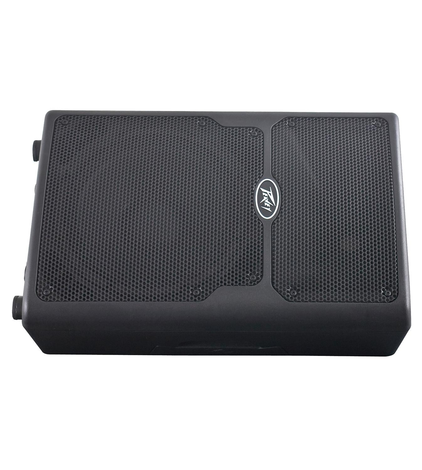 Peavey PVX 10 Non Powered PA Speaker