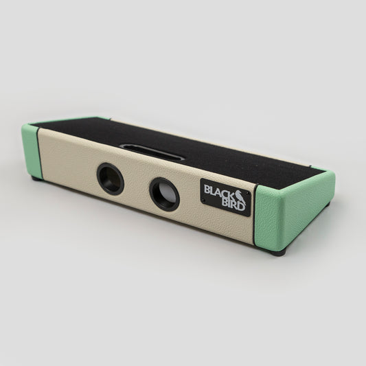 Blackbird Feather Board Custom Ivory/Seafoam Tolex with Gig Bag