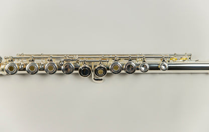 Gemeinhardt 3OSHBNG1 "New Generation" Flute with Gold Lip Plate