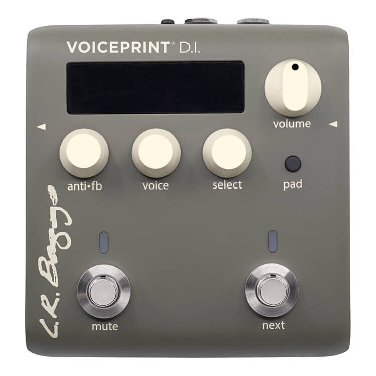 LR Baggs Voiceprint DI Acoustic Guitar Impulse Response Pedal