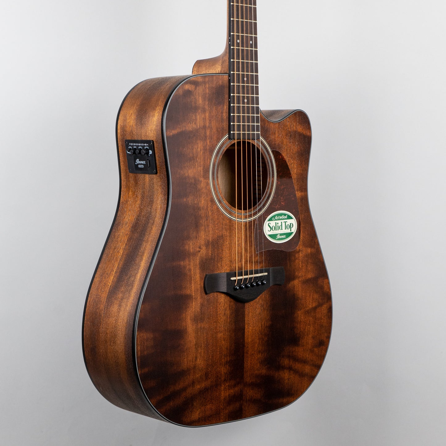 Ibanez AW54CE-OPN Artwood Acoustic/Electric Guitar, Open Pore Natural