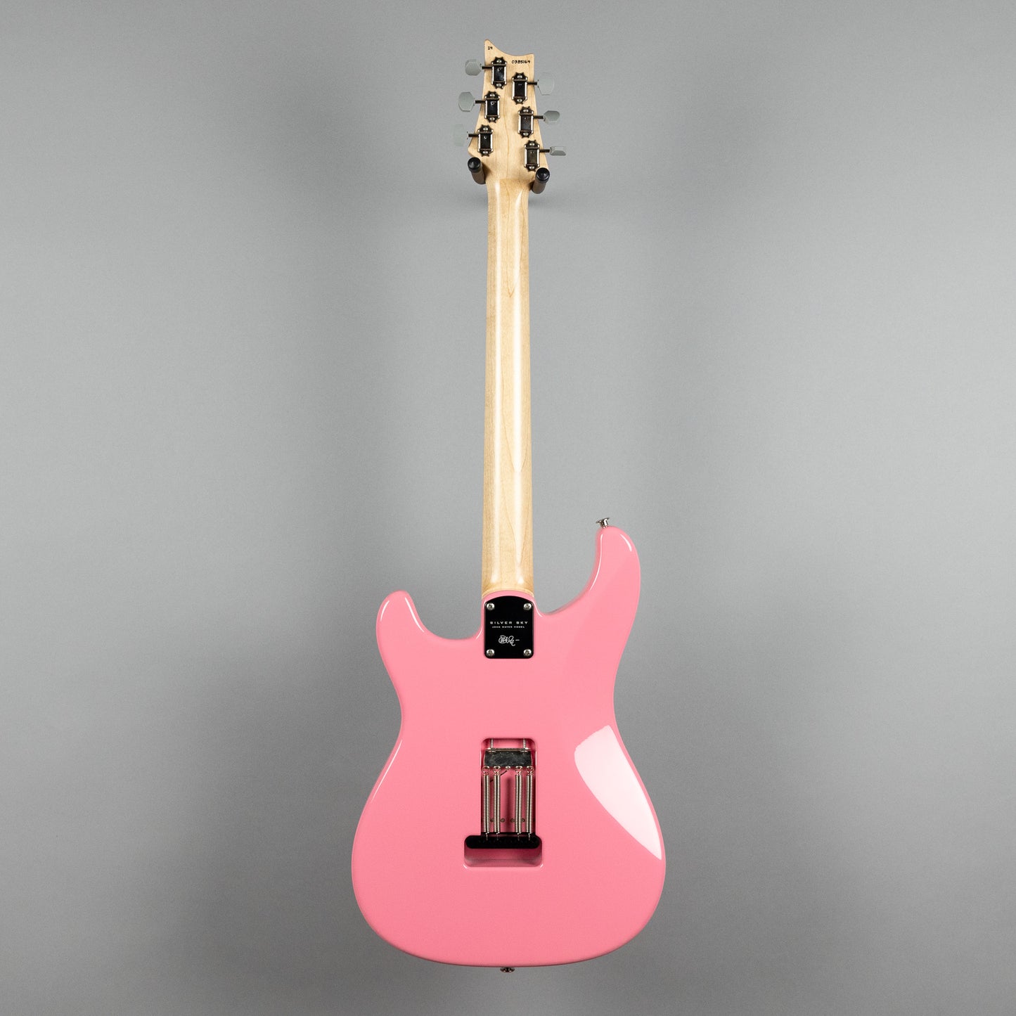 Paul Reed Smith Silver Sky Rosewood, Roxy Pink (0385164)