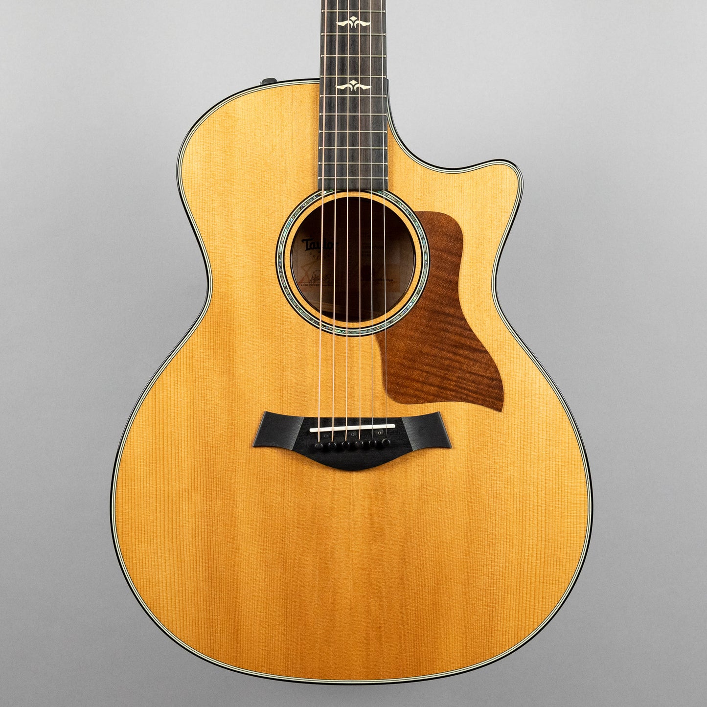 (Demo) Taylor 614ce V-Class Bracing (#1092)