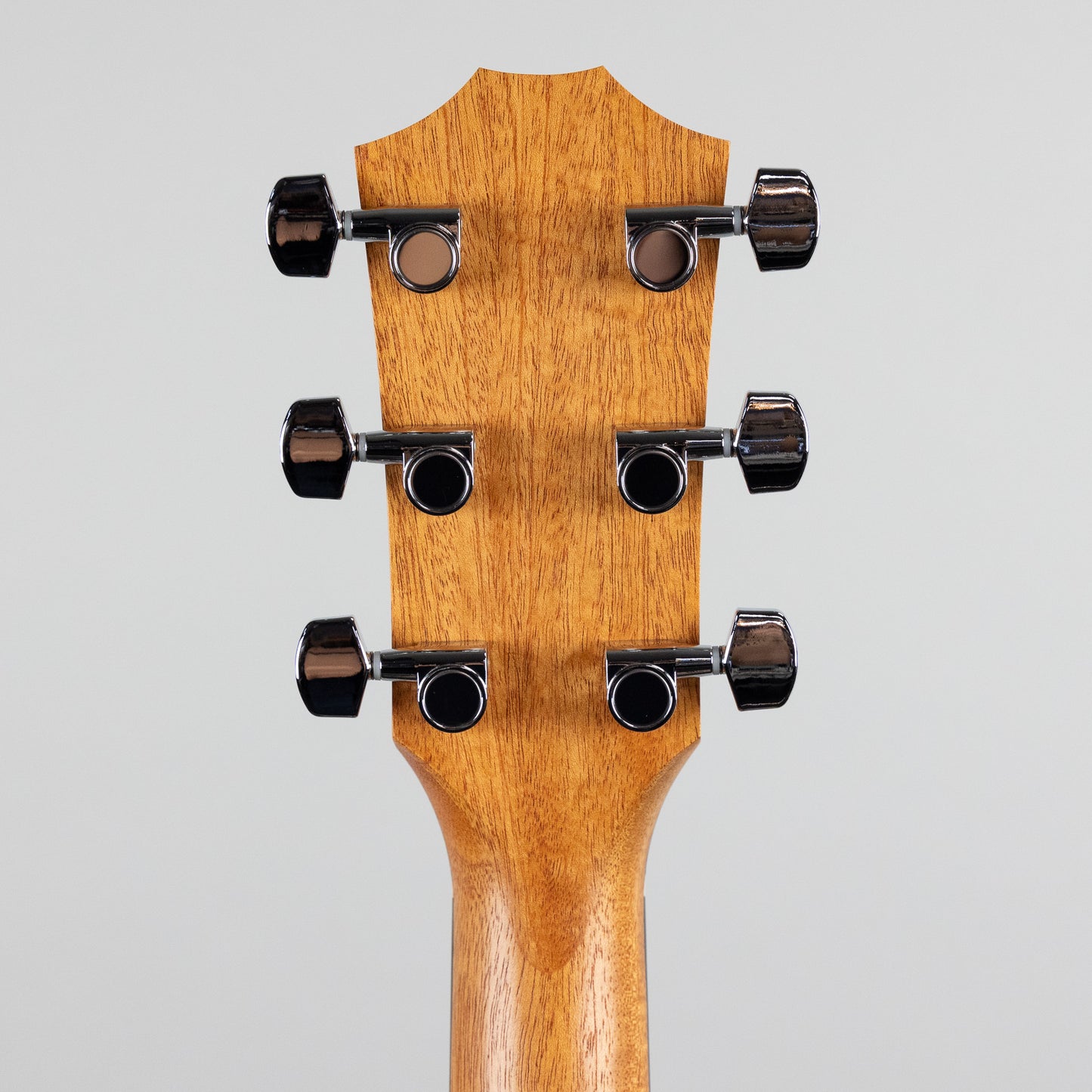 Taylor 212ce Sitka Spruce / Walnut (2206254449)