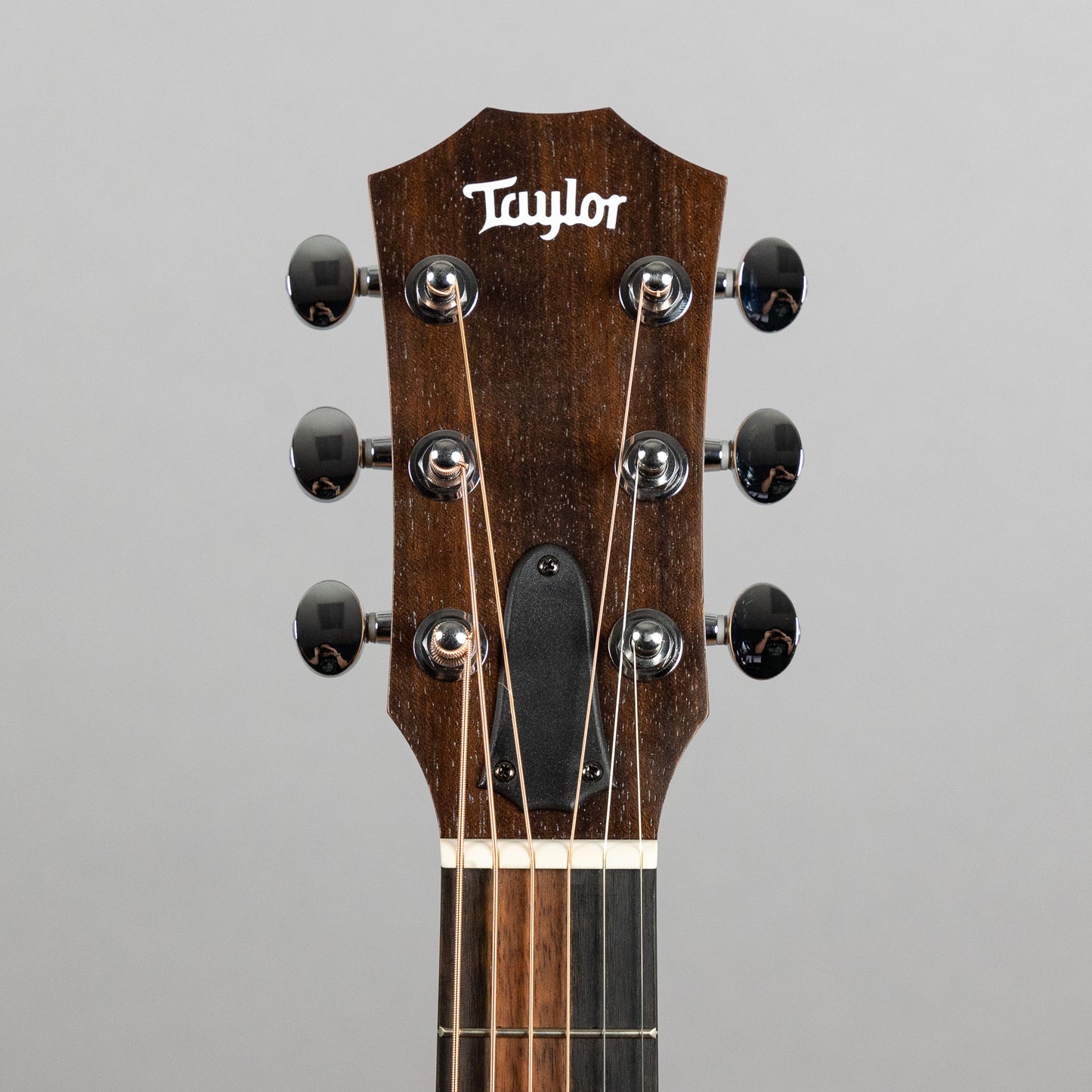 Taylor GS Mini Sapele (#4294)