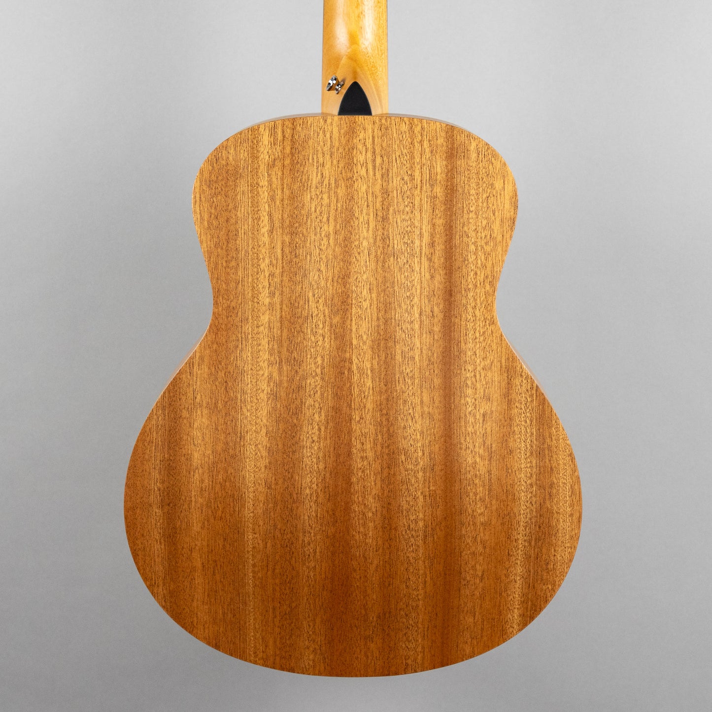 Taylor GS Mini Sapele (#4296)