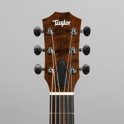 Taylor GS Mini Sapele (#4296)