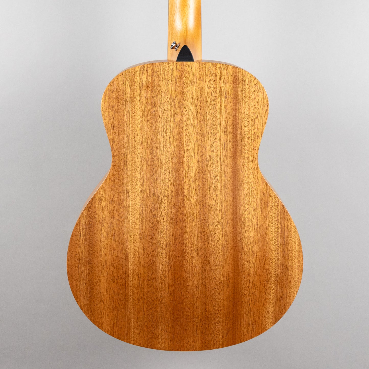 Taylor GS Mini Sapele (#4299)