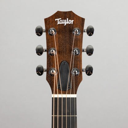 Taylor GS Mini Sapele (#4299)