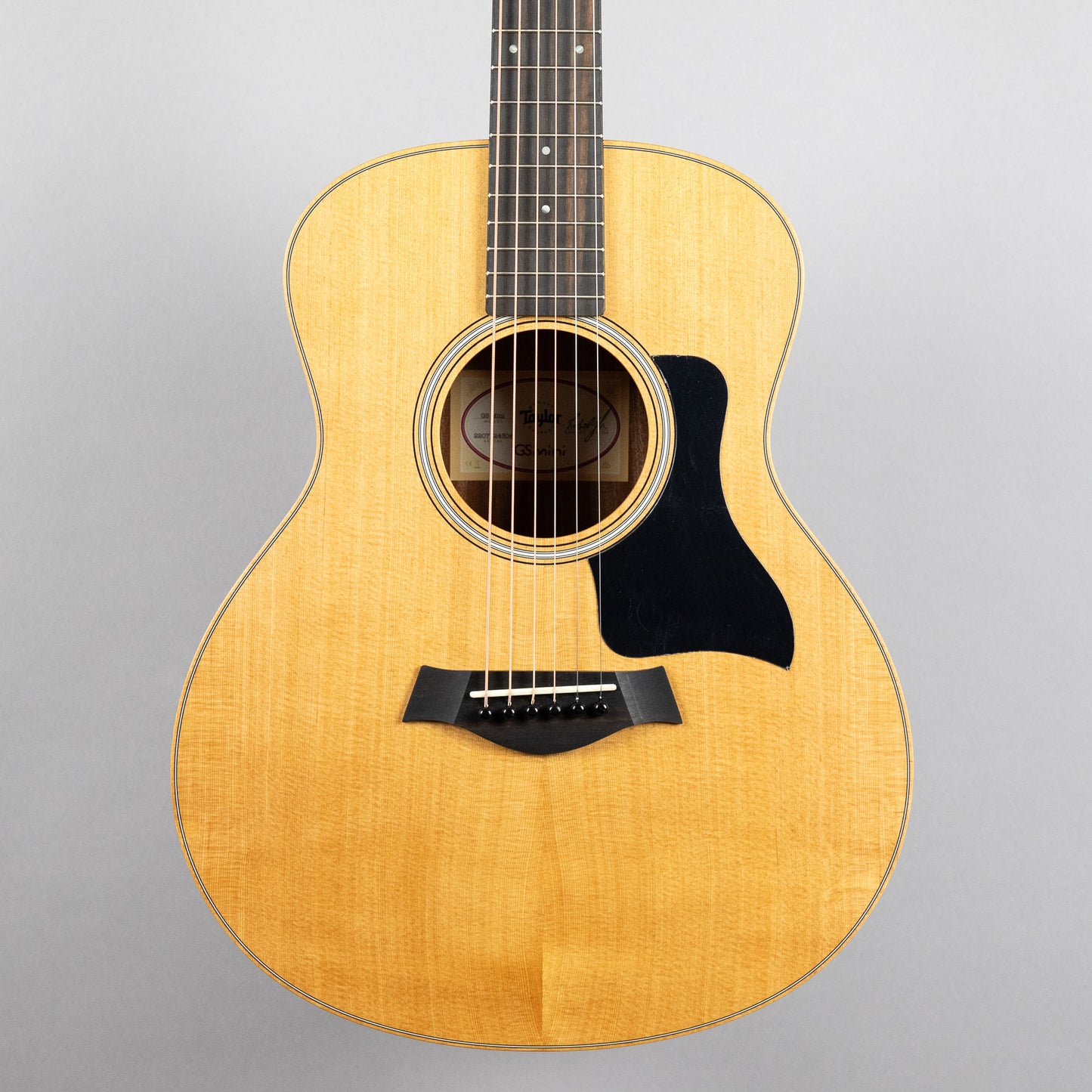 Taylor GS Mini Sapele (#4304)