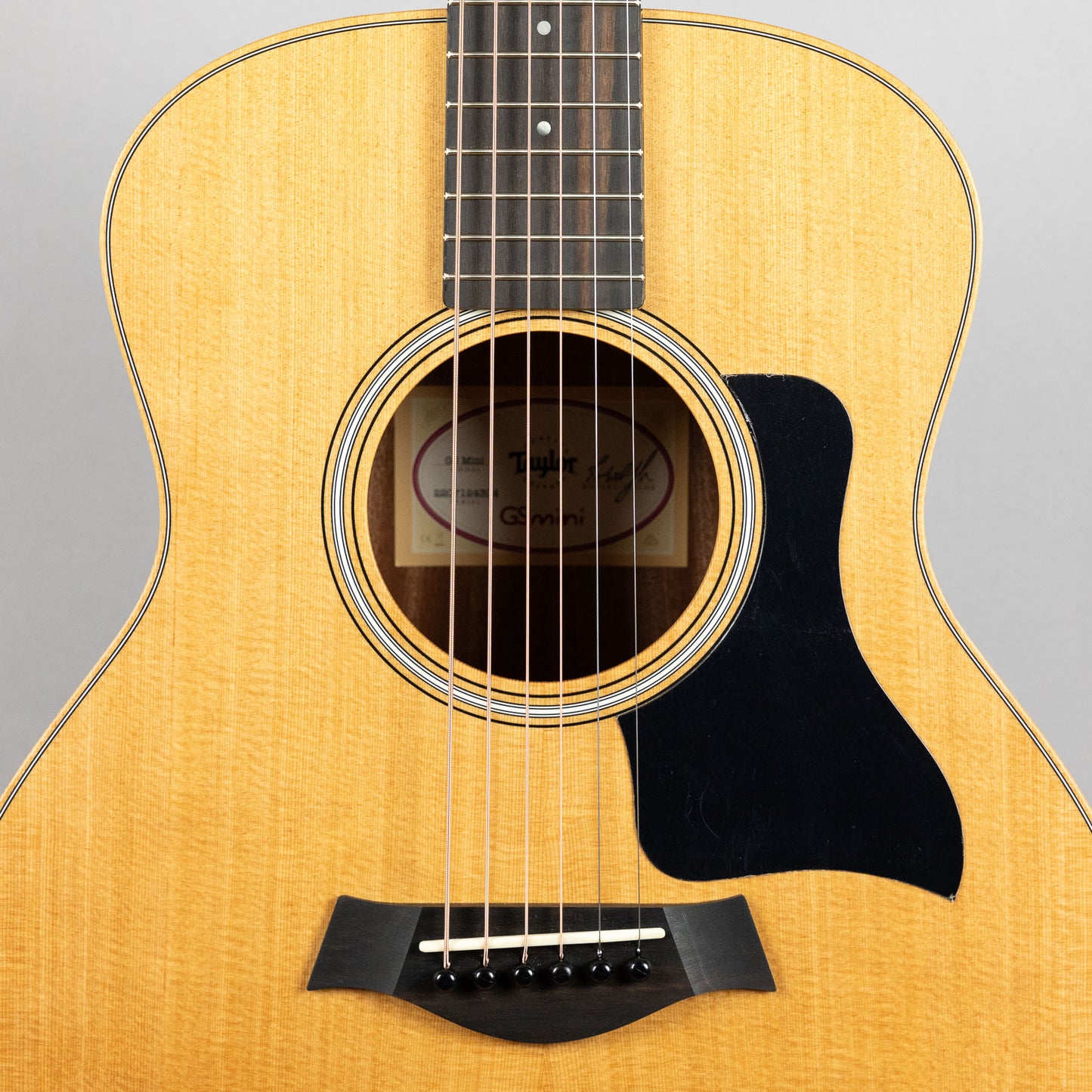 Taylor GS Mini Sapele (#4304)