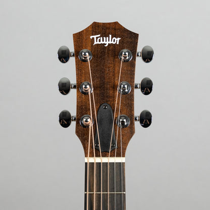 Taylor GS Mini Sapele (#4304)