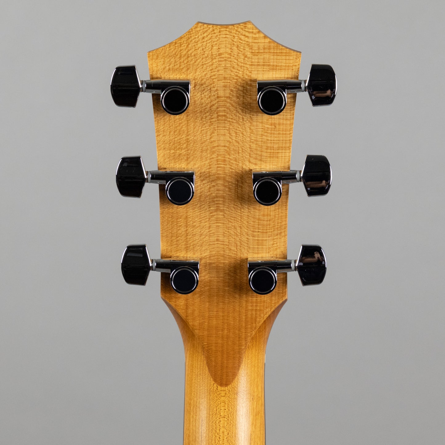 Taylor 110ce-S Sapele (SN2209183344)