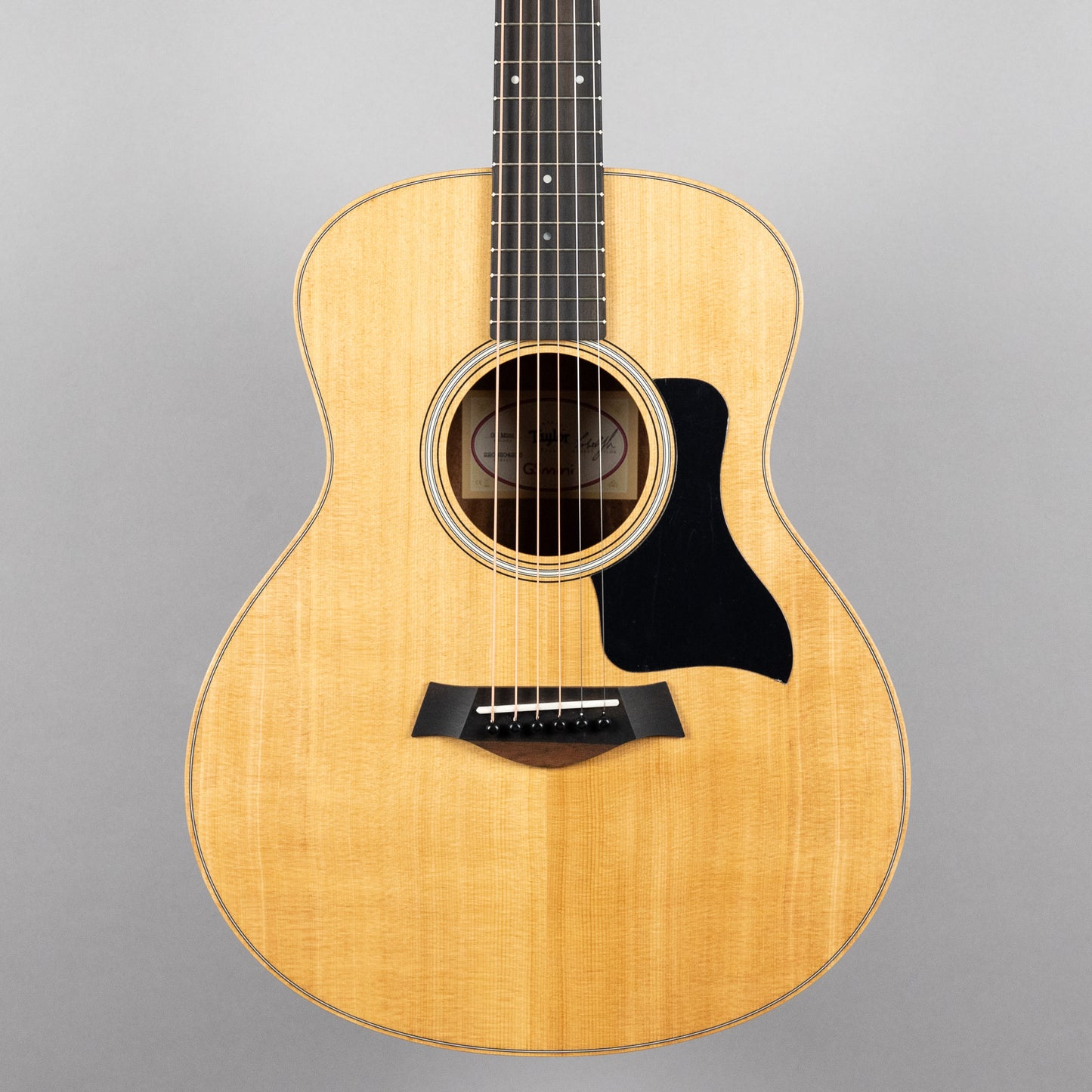 Taylor GS Mini Sapele (#4203)