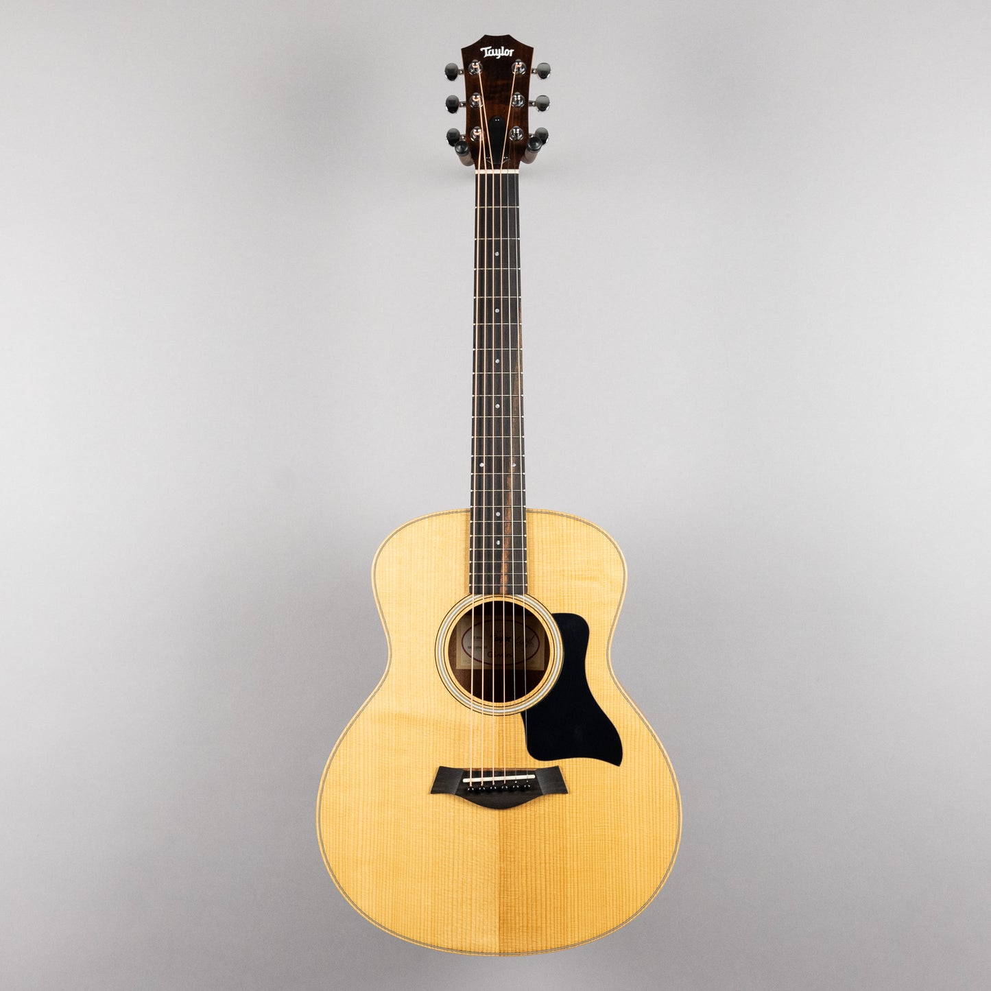 Taylor GS Mini Sapele (#4253)