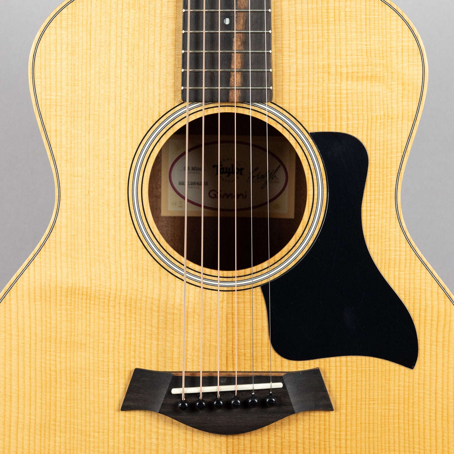 Taylor GS Mini Sapele (#4253)