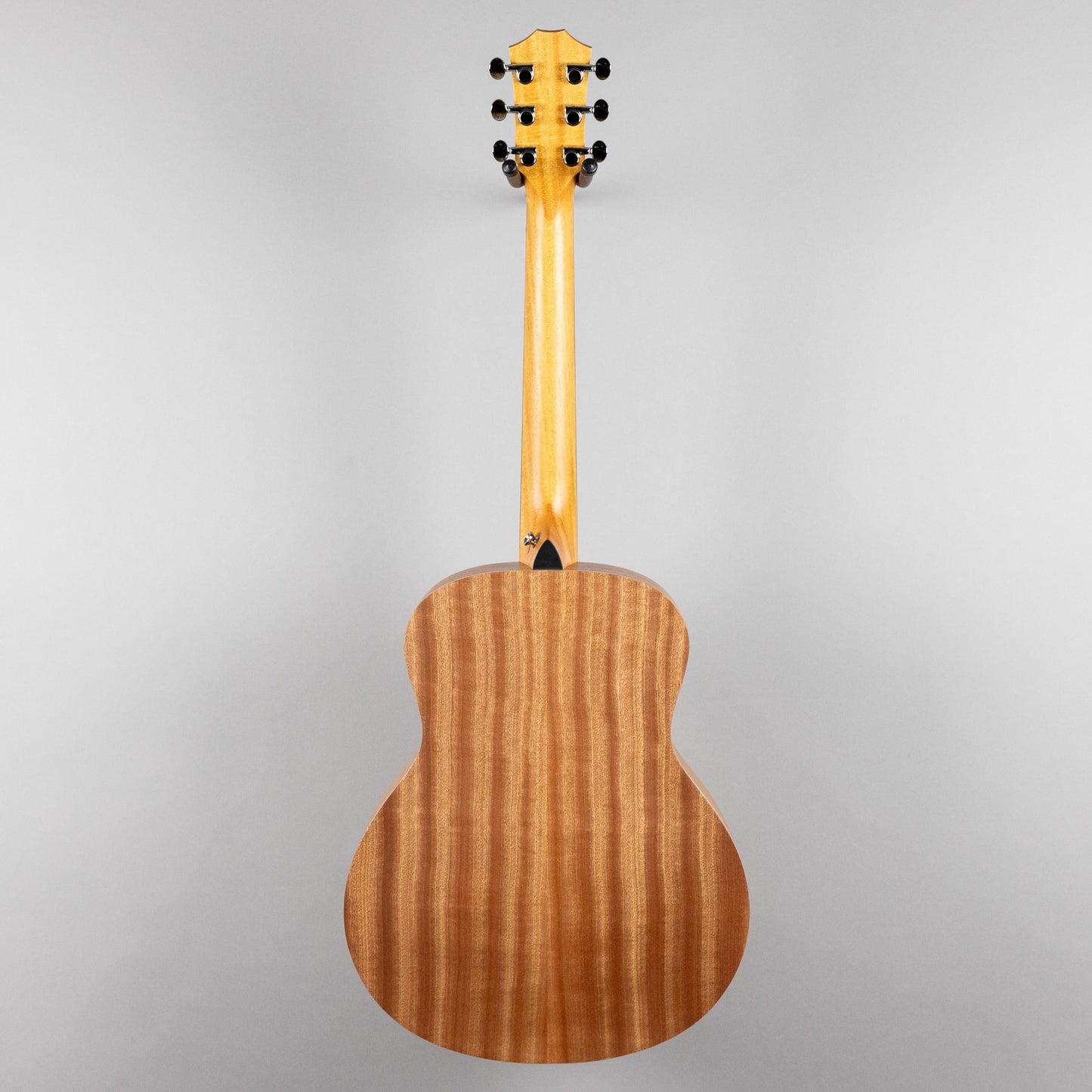 Taylor GS Mini Sapele (#4253)