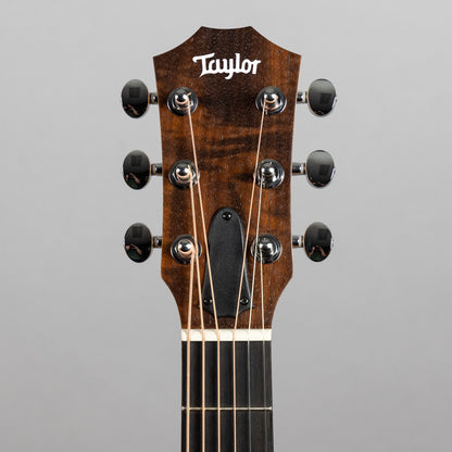 Taylor GS Mini Sapele (#4253)