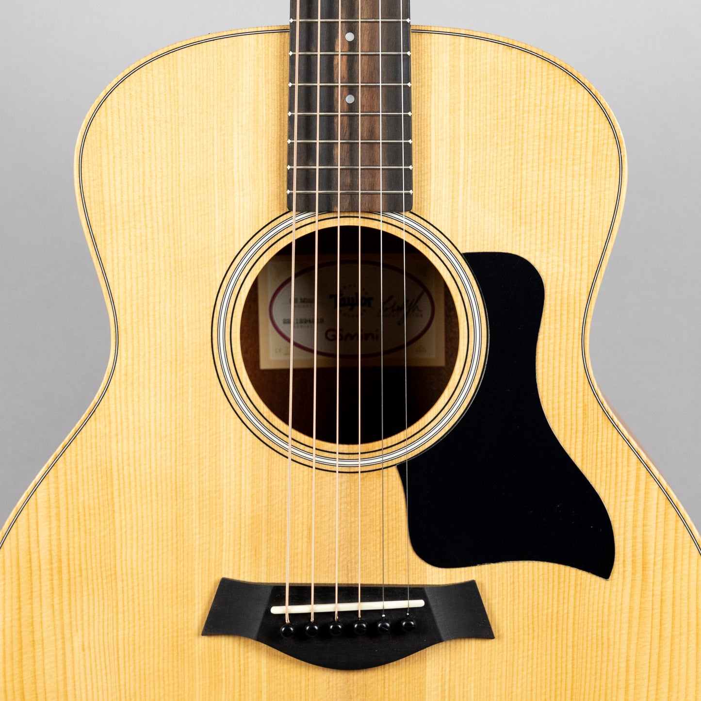 Taylor GS Mini Sapele (#4219)