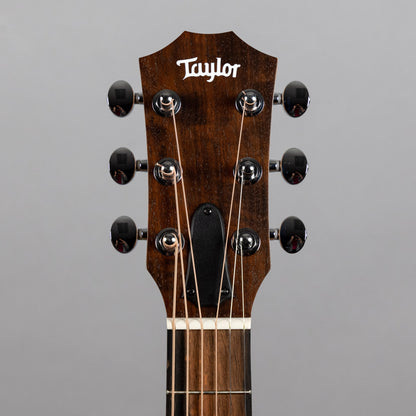 Taylor GS Mini Sapele (#4219)