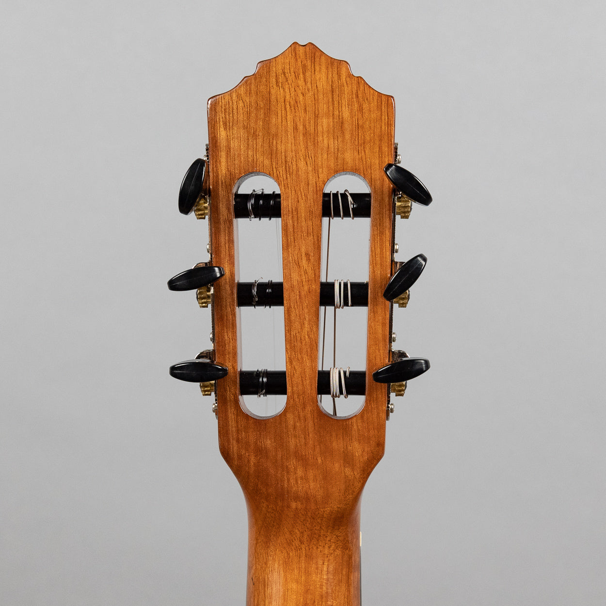 Amazon.com: Ortega RGL5 EB-CE - Guitalele : Musical Instruments