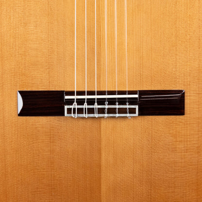 Córdoba C9 CD Classical Guitar, Canadian Cedar Top (92300311)