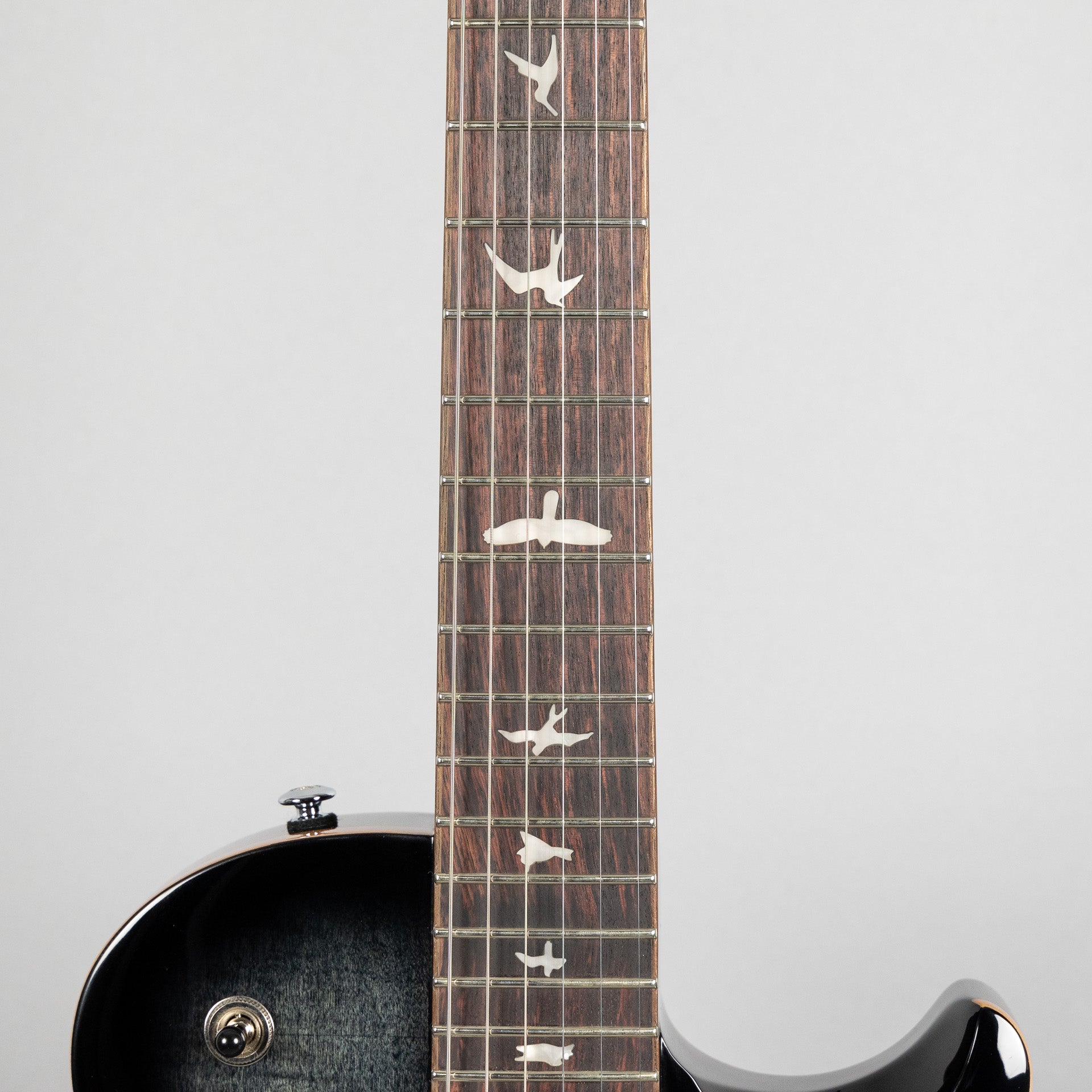 Paul Reed Smith SE Mark Tremonti in Charcoal Burst (CTIF074829) – Carlton  Music Center