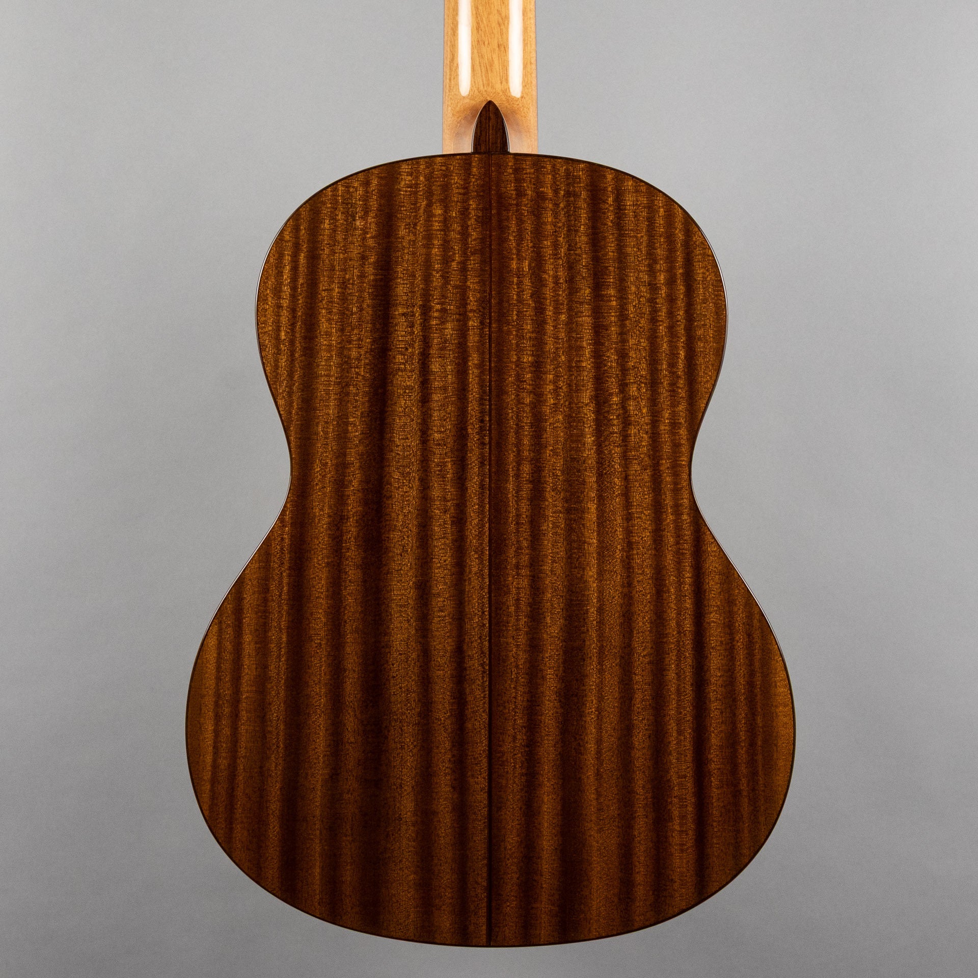 Córdoba C5 SP Iberia Solid Top Nylon String Guitar