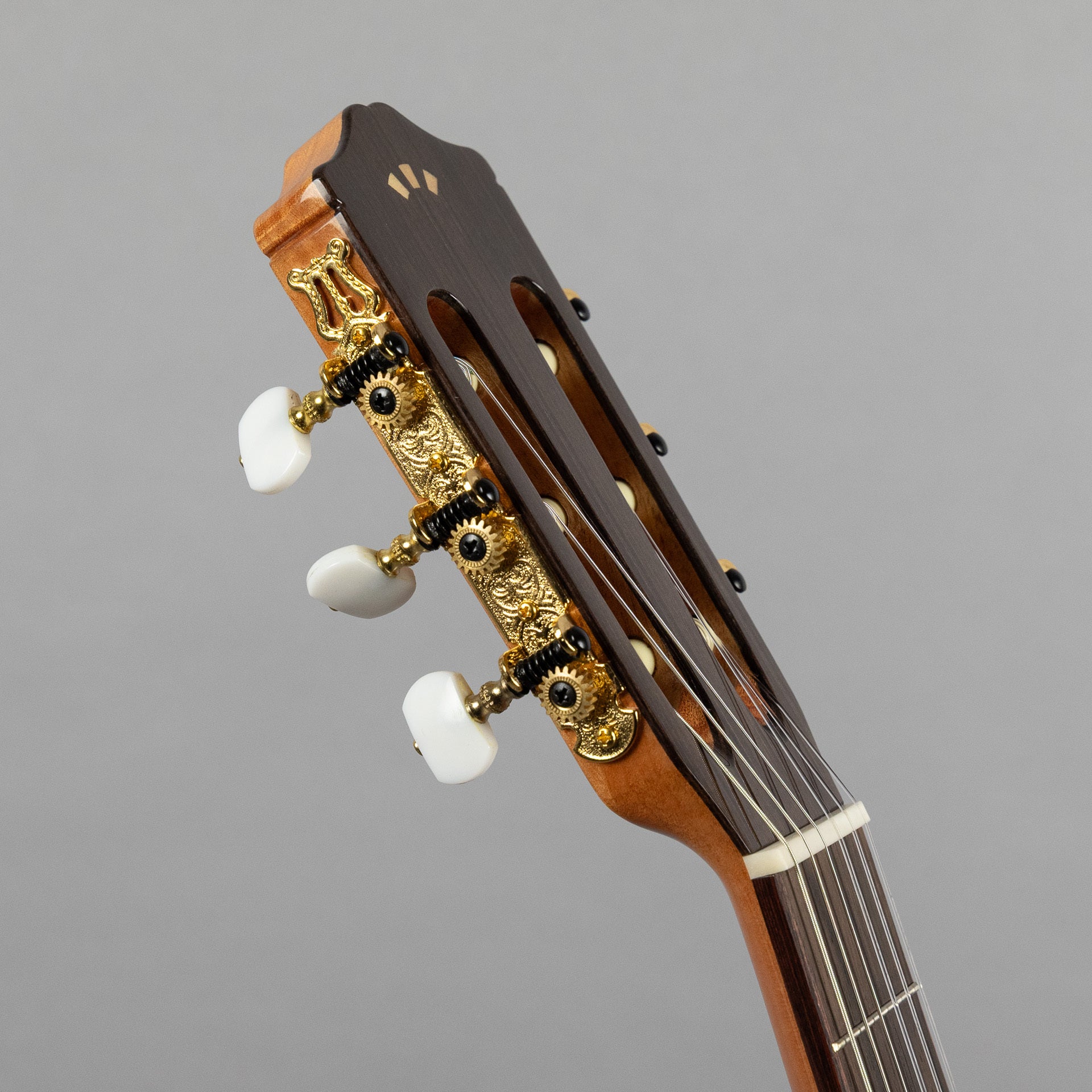 Córdoba C5 SP Iberia Solid Top Nylon String Guitar