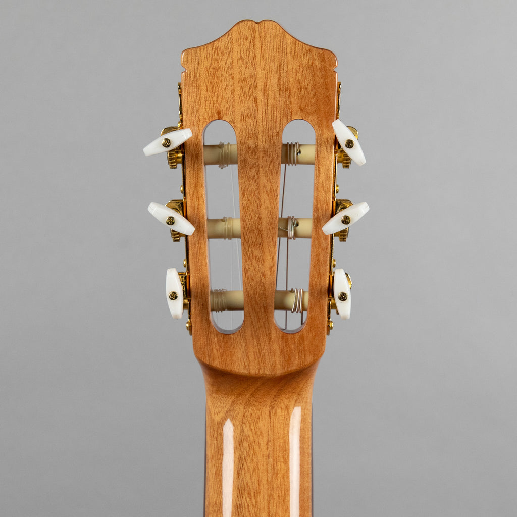 Córdoba C5 SP Iberia Solid Top Nylon String Guitar