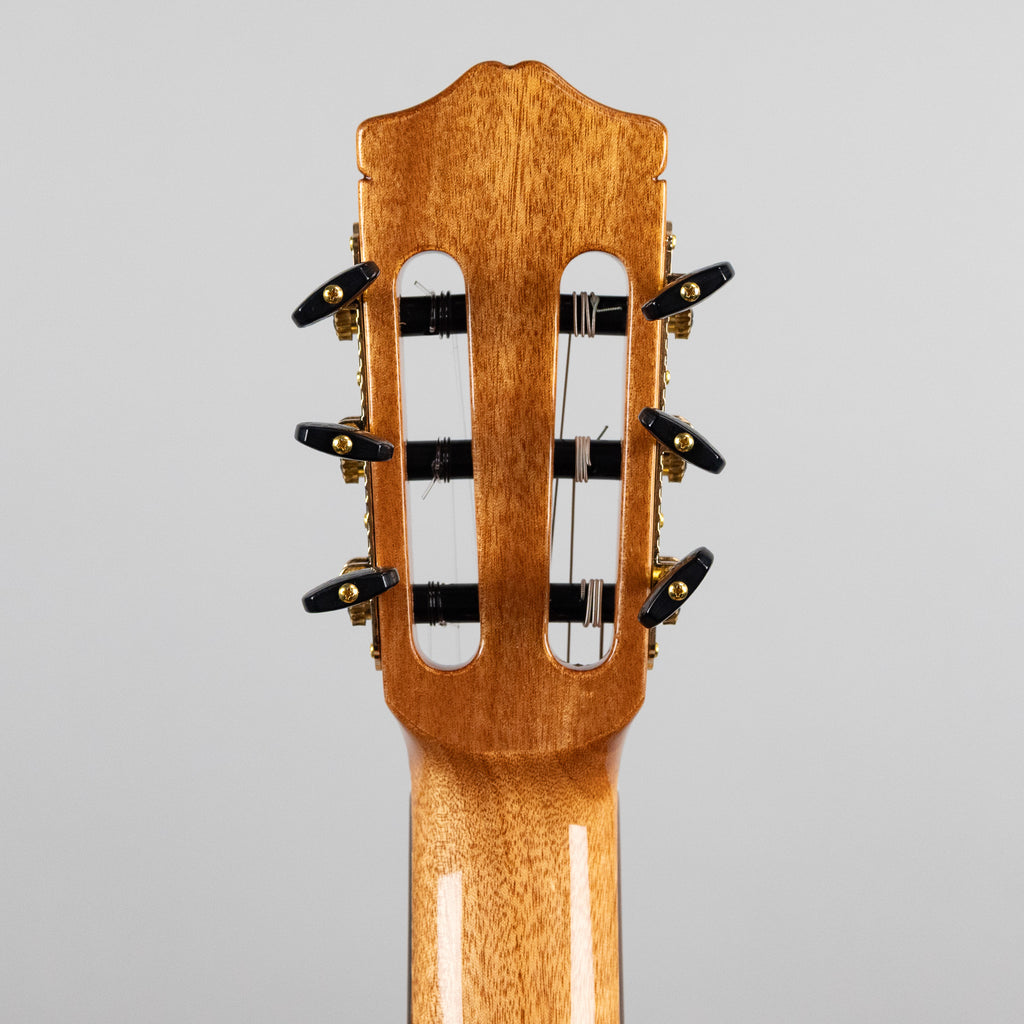 Córdoba C7 CD Classical Guitar, Cedar Top
