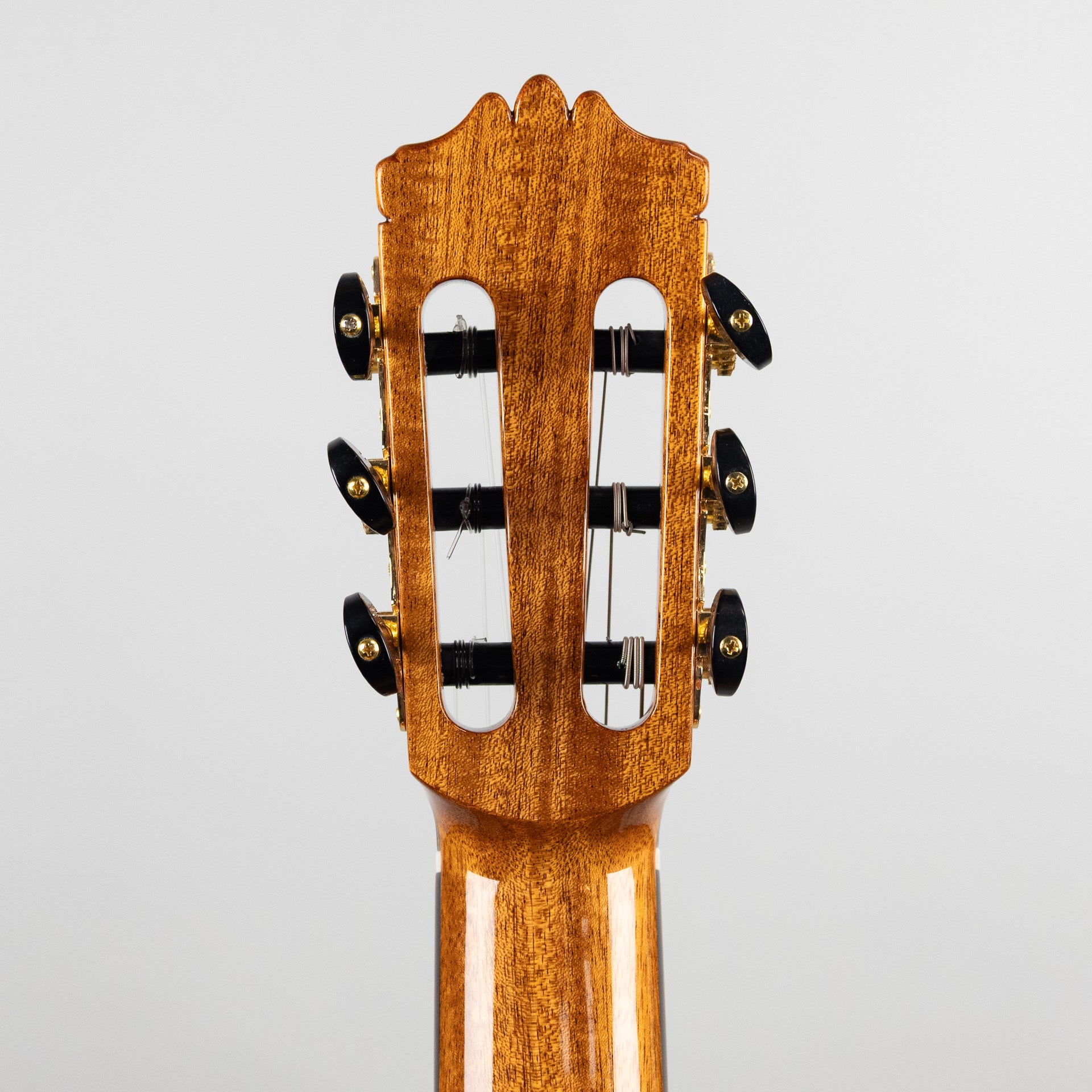 Córdoba C9 CD Classical Guitar, Canadian Cedar Top