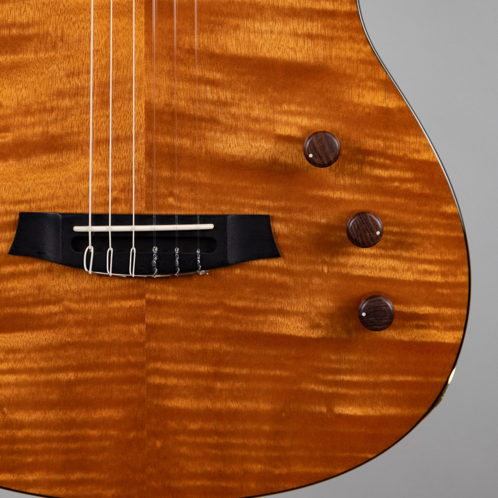 Córdoba Fusion Stage Nylon String Guitar, Natural Amber