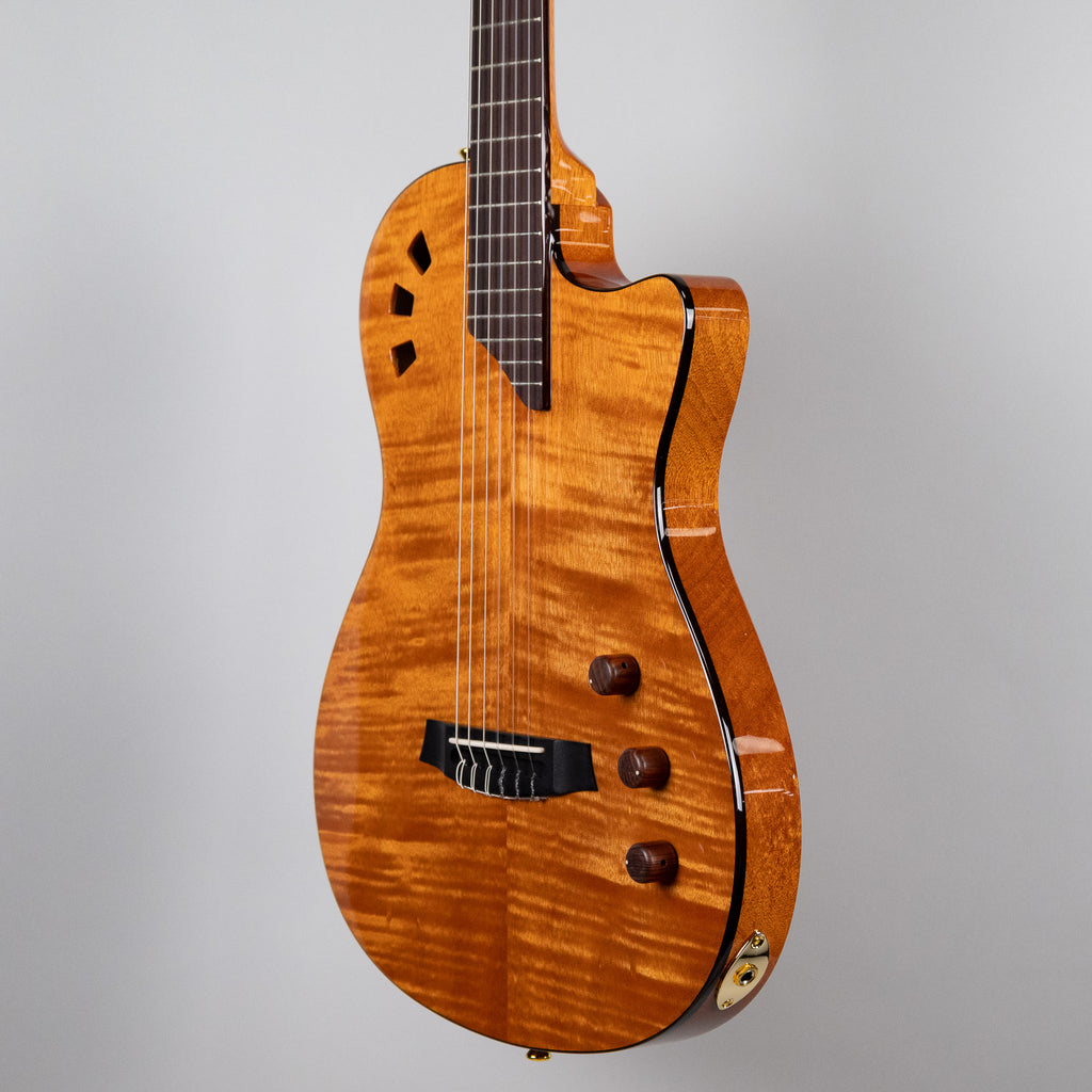 Córdoba Fusion Stage Nylon String Guitar, Natural Amber
