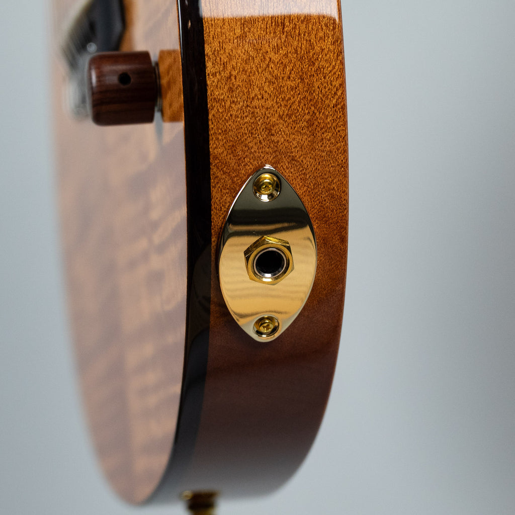 Córdoba Fusion Stage Nylon String Guitar, Natural Amber