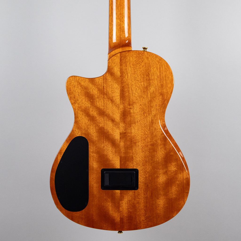 Córdoba Fusion Stage Nylon String Guitar, Natural Amber