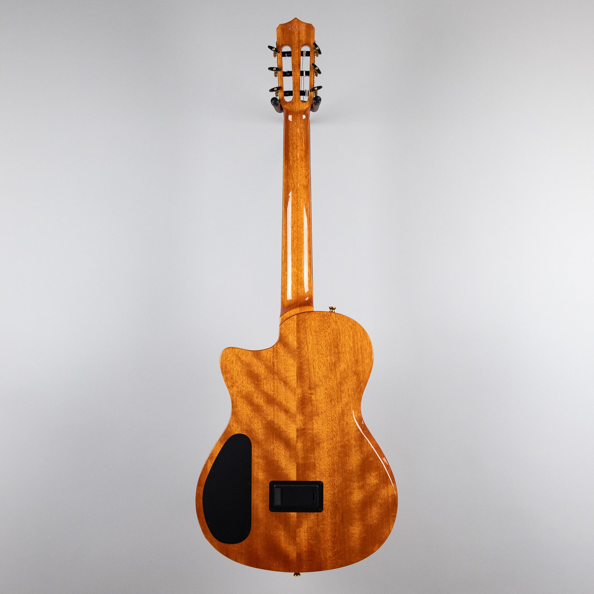 Córdoba Fusion Stage Nylon String Guitar, Natural Amber