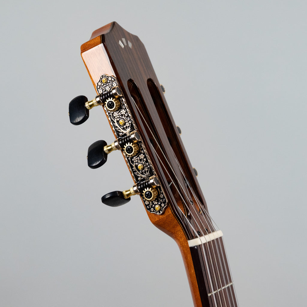 Córdoba Fusion Stage Nylon String Guitar, Natural Amber