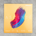 D'Addario Ascente Violin Set, 3/4 Scale, Medium Tension