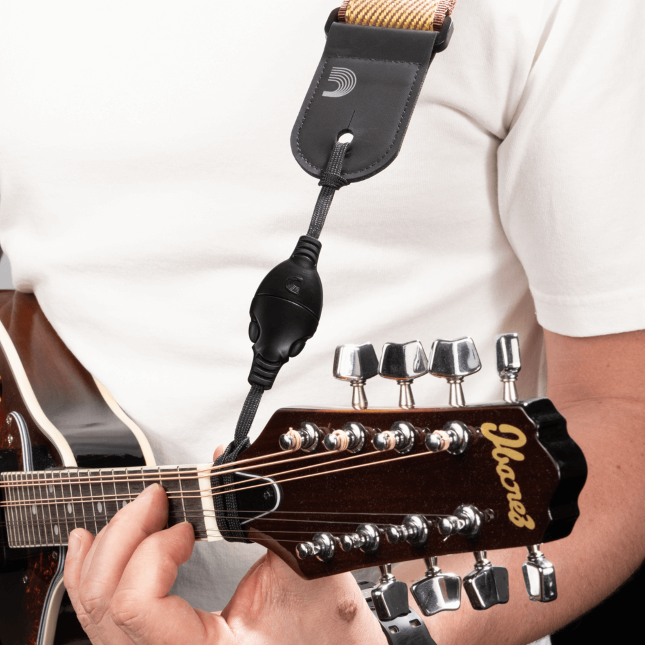 D'Addario Small Instrument Quick Release System
