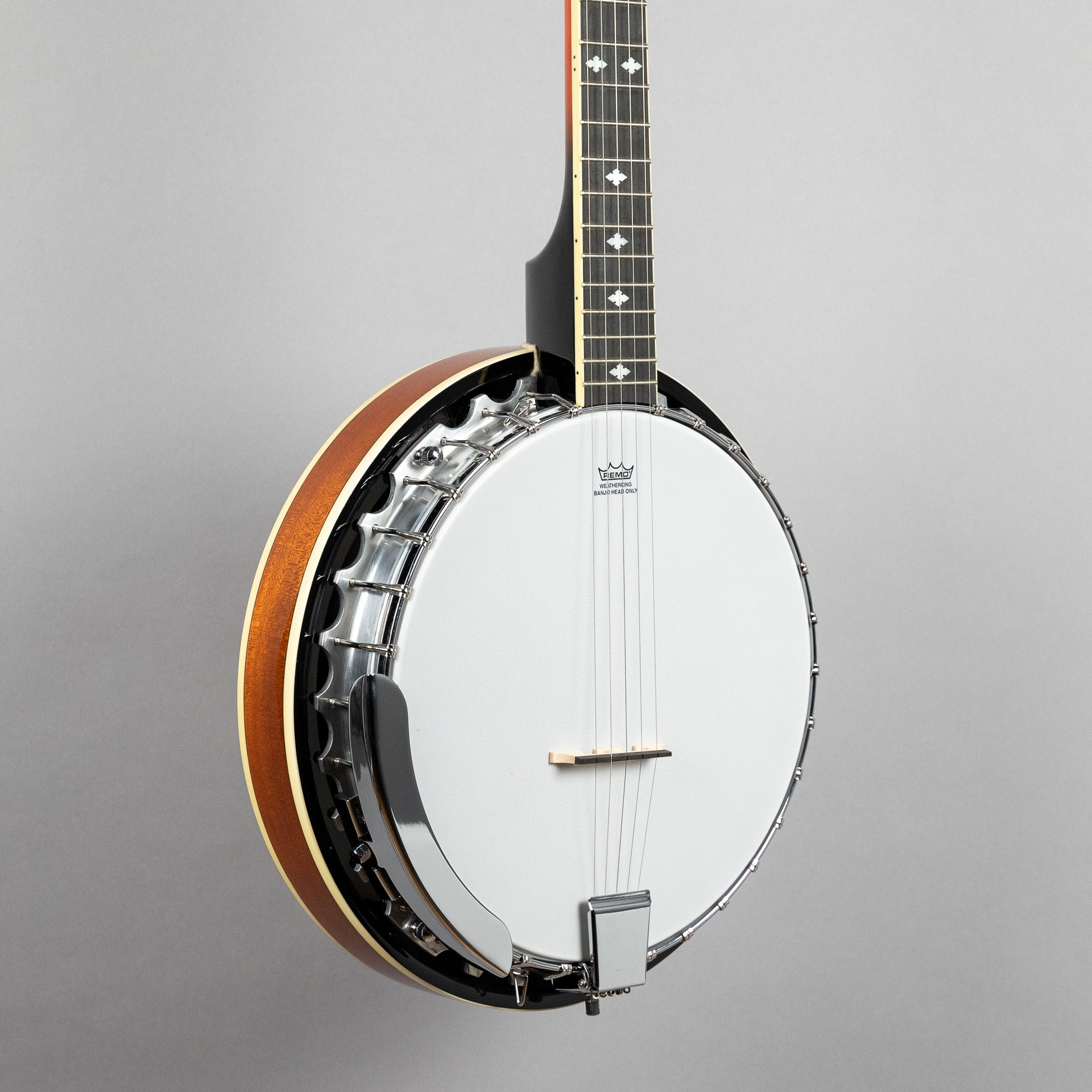 Danville BJ30 Banjo, 5-String – Carlton Music Center